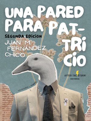 cover image of Una pared para Patricio